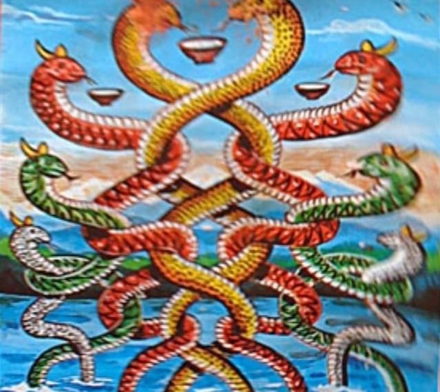 आज नागको पुजा गरिदै, कर्णाली प्रदेश सरकारले दियो सार्वजनिक बिदा