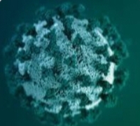 क‍ोभिड-१९ को नयाँ भेरियण्ट देखिय‍ो